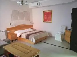 Apartments Drina