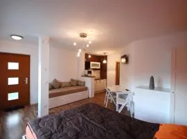 Apartment Visak