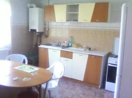 Vila Elena si Ionut
