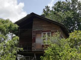 Sigiri Forest View, hotel near Minneriya National Park, Sigiriya