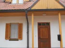 Nagelj 1