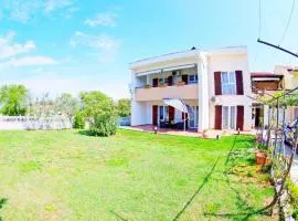 Apartments Hrga