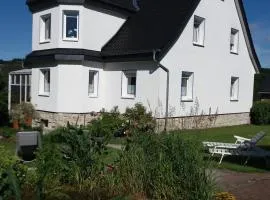 Haus Elsholz Usseln FeWo Birke