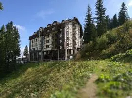 Hotel Lavina