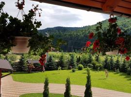 Pensiunea Putnisoara, hotelli kohteessa Putnişoara