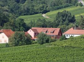 Gite "Au cerf", hotel in Nothalten