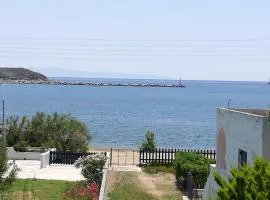 House near Sea