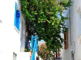 Bougainvillea House