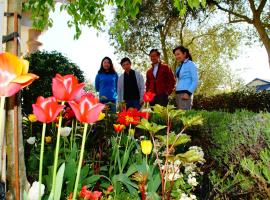 Olive House Bed and Breakfast, hotel with hot tubs in Christchurch