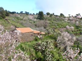 Casa rural La Jarita、El Pinar del Hierroのホテル