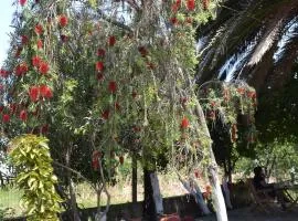 House Souzanna