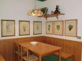 Sport Campiglio Apartment