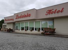 Hotel Ludwinka, hotel v destinácii Pleszew