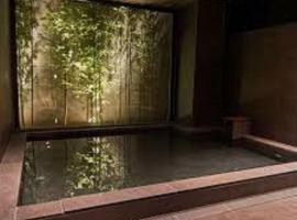 Conne Hotel, hotel v Goto