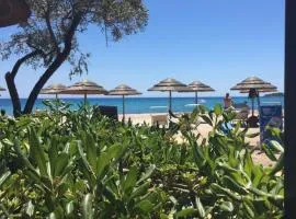 Appartement I Cardellini