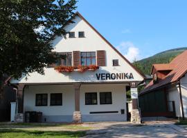 Horský dům Veronika: Černý Dŭl şehrinde bir kır evi