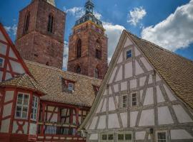 Steinhäuser Hof, hotelli kohteessa Neustadt an der Weinstraße