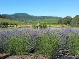 Thorn Hill Vineyards Villa Suites