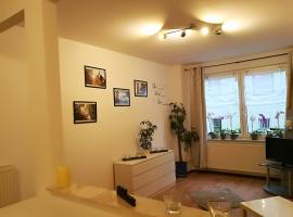 Ferienwohnung Amalie, holiday rental in Apolda