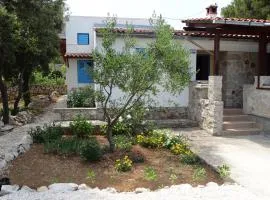 House by the sea