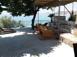 Bozikovic 365