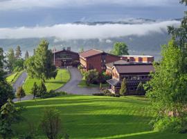 Honne Hotell, hotell i Biri