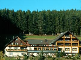 Waldhotel Auerhahn B&B Bed & Breakfast, Hotel in Eisenbach (Hochschwarzwald)