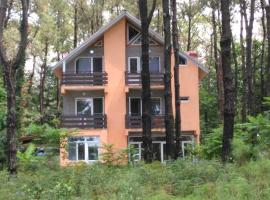 Villa Vachnadze, homestay in Shekvetili