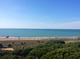 ARISTON - WALTERIGATO Apartments SOLO PER FAMIGLIE