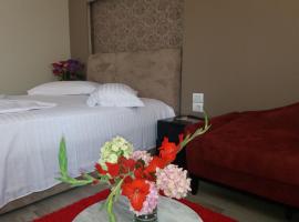 Hotel Erandi, hotel near Tirana International Airport Mother Teresa - TIA, Rinas