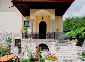 Vila Leonida, hotel romàntic a Buşteni