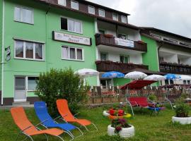 Hotel-Pension Dressel, hotel blizu letališča letališče Bindlacher Berg - BYU, Warmensteinach