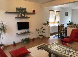 Apartment near the Airport