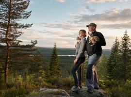 Savolax Stugor, chata v destinaci Axland