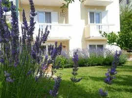 Apartment Branka