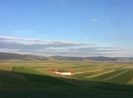 Kavalliera Pensiune