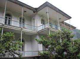 Firuza Hostel, отель в Боржоми