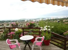 Les Terrasses de Bellemoure Cébazat