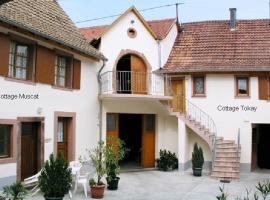 Gîtes Le Tokay et Le Muscat, hotel v destinaci Gertwiller