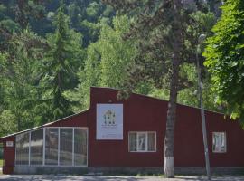 RiverSide Hostel Borjomi, hostel in Borjomi