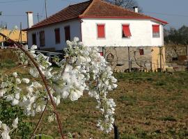 Casa da Vinha Grande, bed & breakfast i Poiares