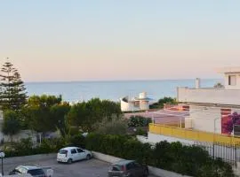 Nido dei gabbiani