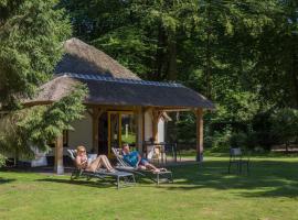 Molecaten Park De Leemkule, feriepark i Hattem