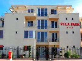 Vila Paun, hotel familiar en Costinesti