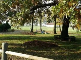 Scuderia 100 pertiche