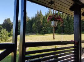 Pensiunea Maria-Bucovina, hotel in Vatra Moldoviţei