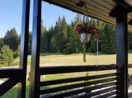 Pensiunea Maria-Bucovina