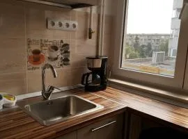 Iri's Downtown Apartment no. 1