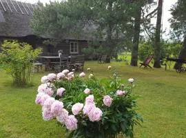 Männi Summerhouse