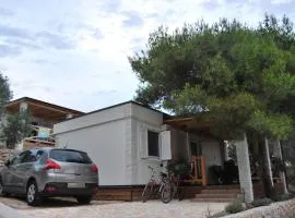 Mitja A1